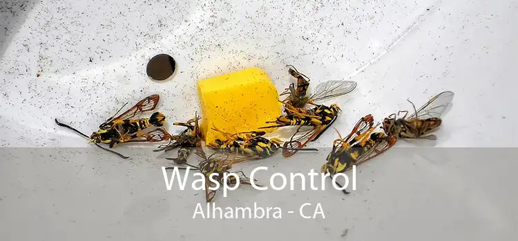 Wasp Control Alhambra - CA