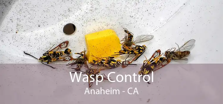 Wasp Control Anaheim - CA