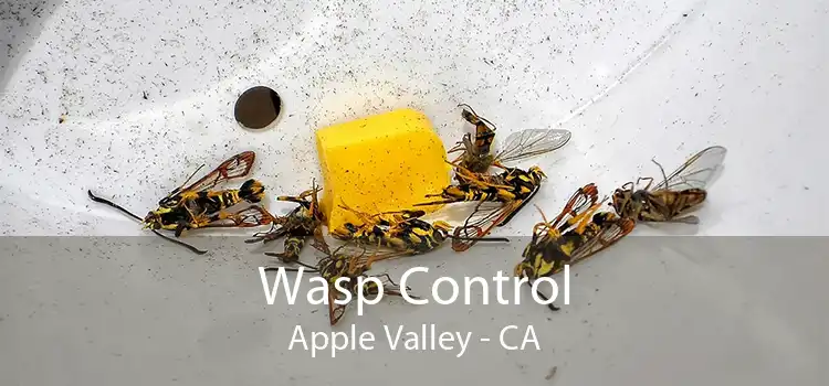Wasp Control Apple Valley - CA
