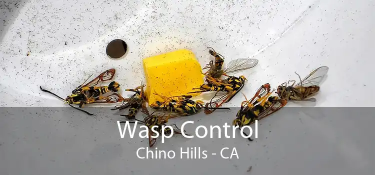 Wasp Control Chino Hills - CA