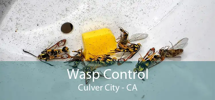 Wasp Control Culver City - CA