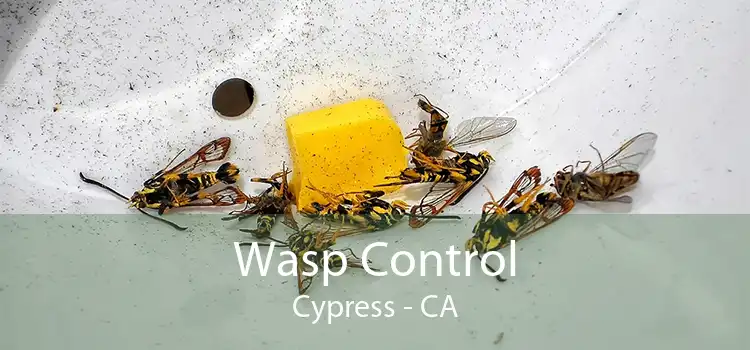 Wasp Control Cypress - CA