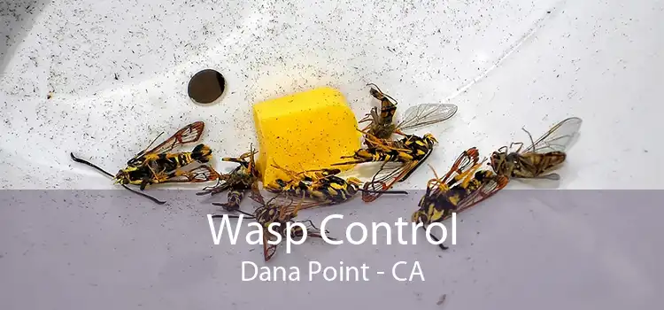 Wasp Control Dana Point - CA