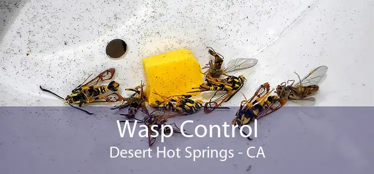Wasp Control Desert Hot Springs - CA