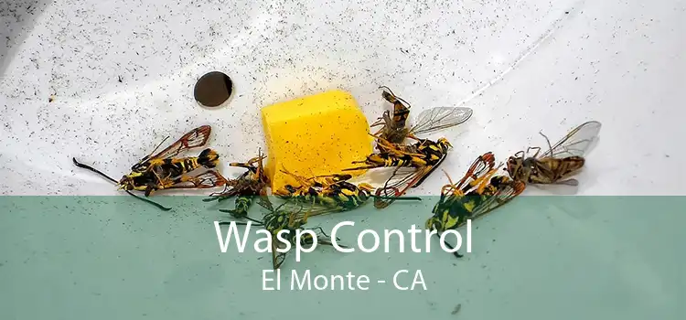 Wasp Control El Monte - CA
