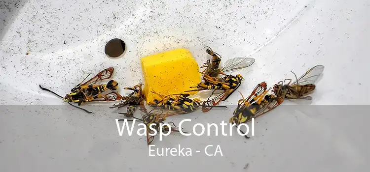 Wasp Control Eureka - CA