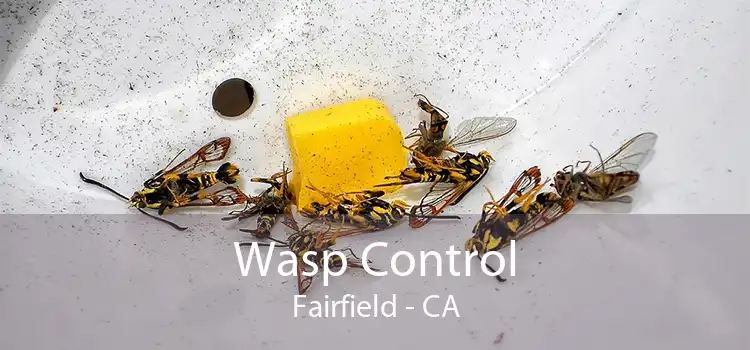 Wasp Control Fairfield - CA