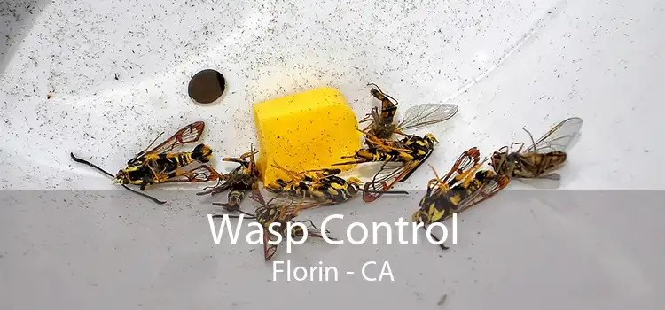 Wasp Control Florin - CA