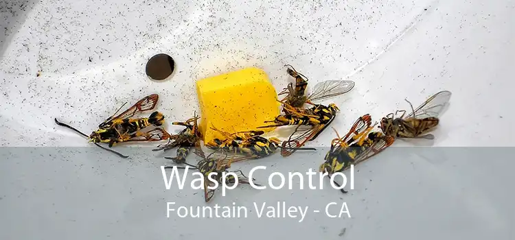 Wasp Control Fountain Valley - CA