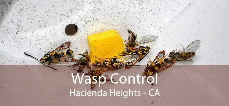 Wasp Control Hacienda Heights - CA