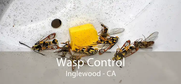 Wasp Control Inglewood - CA