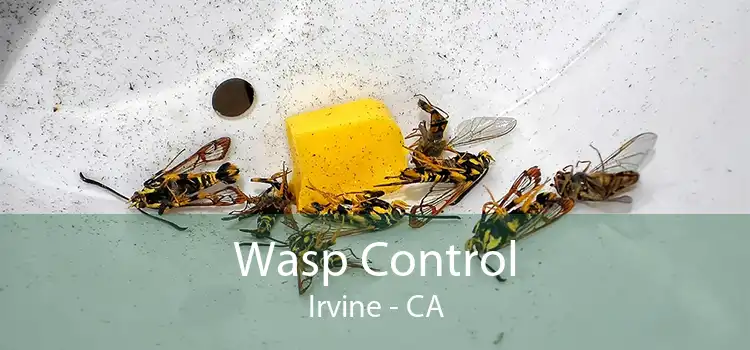 Wasp Control Irvine - CA