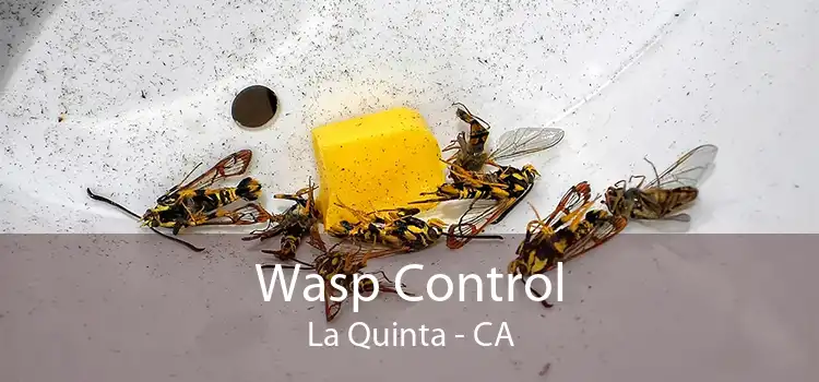Wasp Control La Quinta - CA