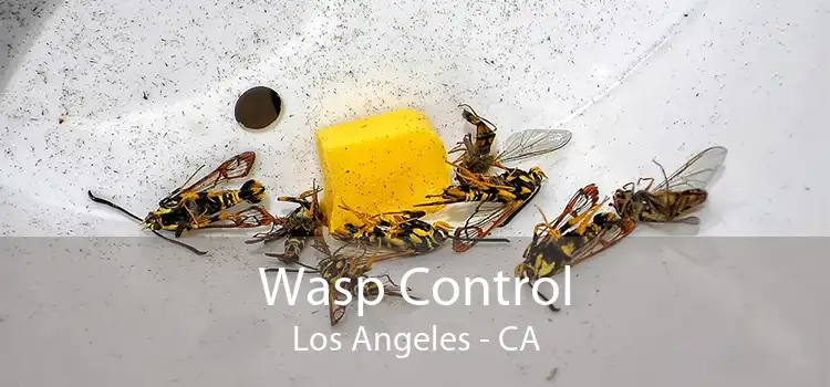 Wasp Control Los Angeles - CA