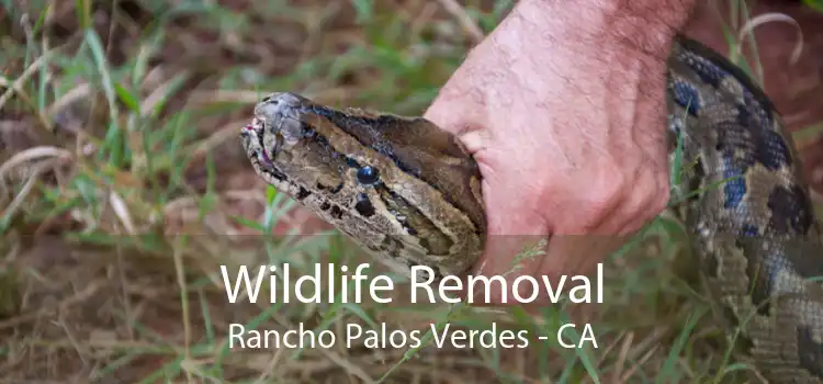 Wildlife Removal Rancho Palos Verdes - CA