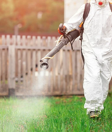 Mosquito Control Services in Palm Springs