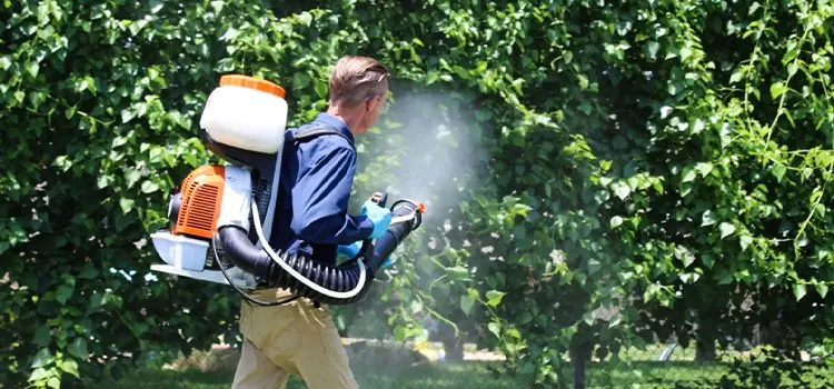 Backyard Mosquito Control in Los Angeles, CA