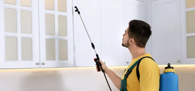 Best Insect Control in Delano