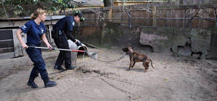 Redding Emergency Animal Control