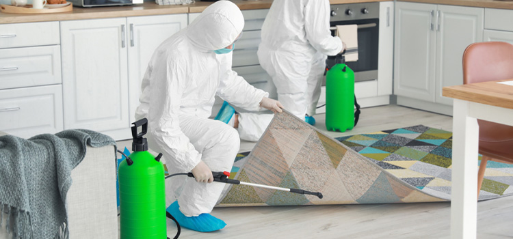 Los Angeles Home Fumigation Services