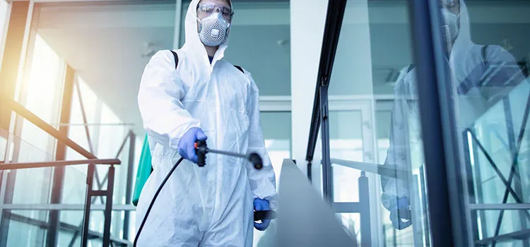 Pest Control Services in Delano, CA
