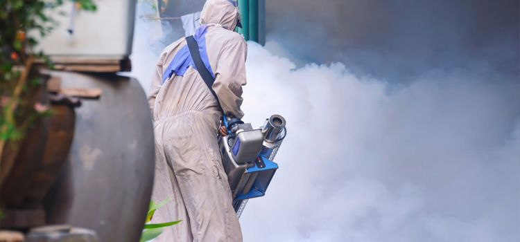 Residential Fumigation Services in Castro Valley, CA