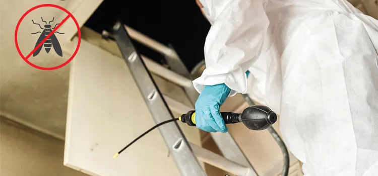 Wasp Pest Control in Delano, CA