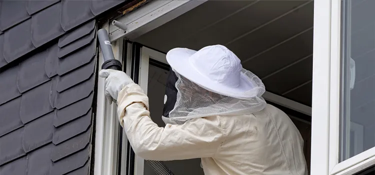 Wasp Control Services in Isla Vista, CA